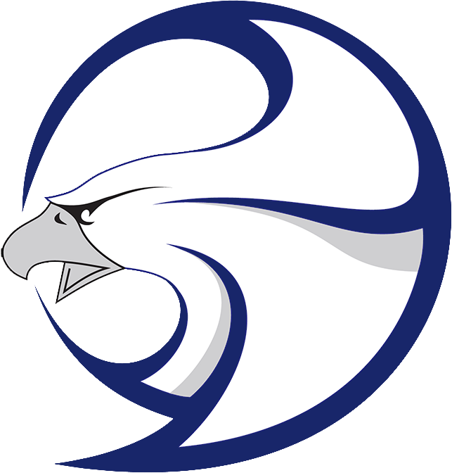 BAIS-Logo-without-text